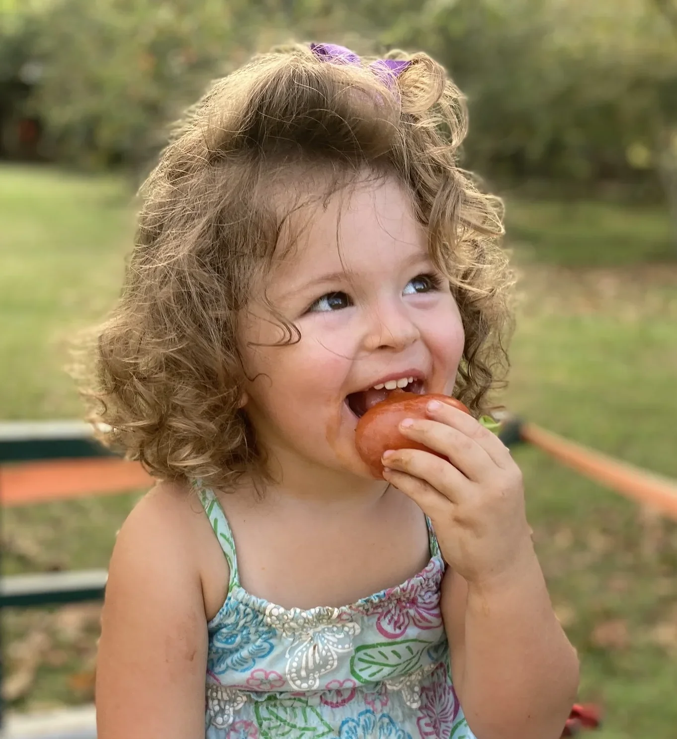 girl eating persimmons