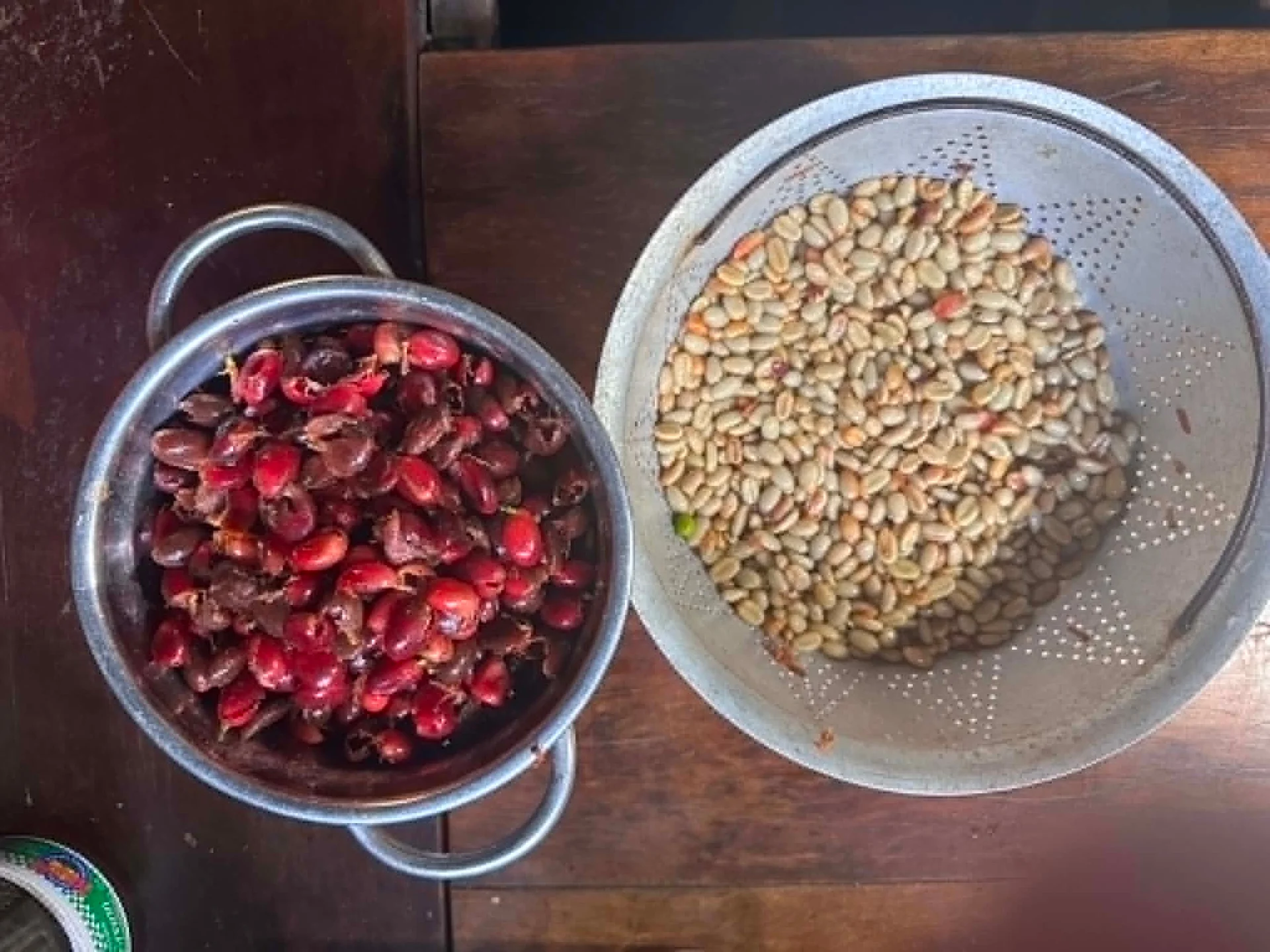 Raw coffee fruit