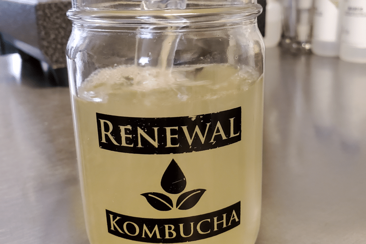 Glass jar filled with frothy liquid labeled "RENEWAL Kombucha".