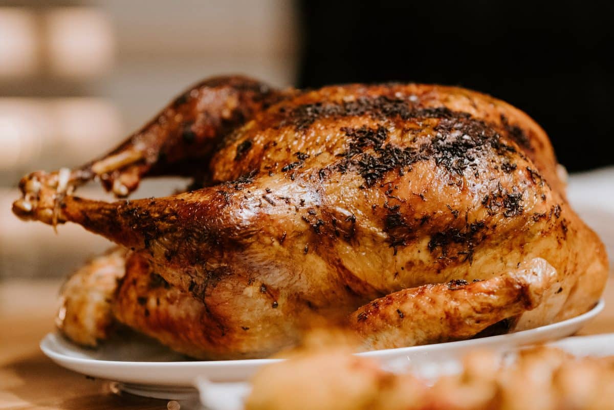 Golden-brown roasted chicken on a plate