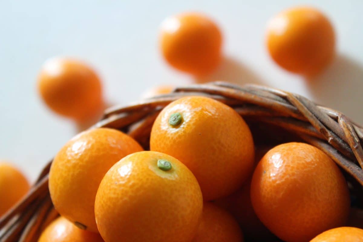 Basket of bright orange kumquats.