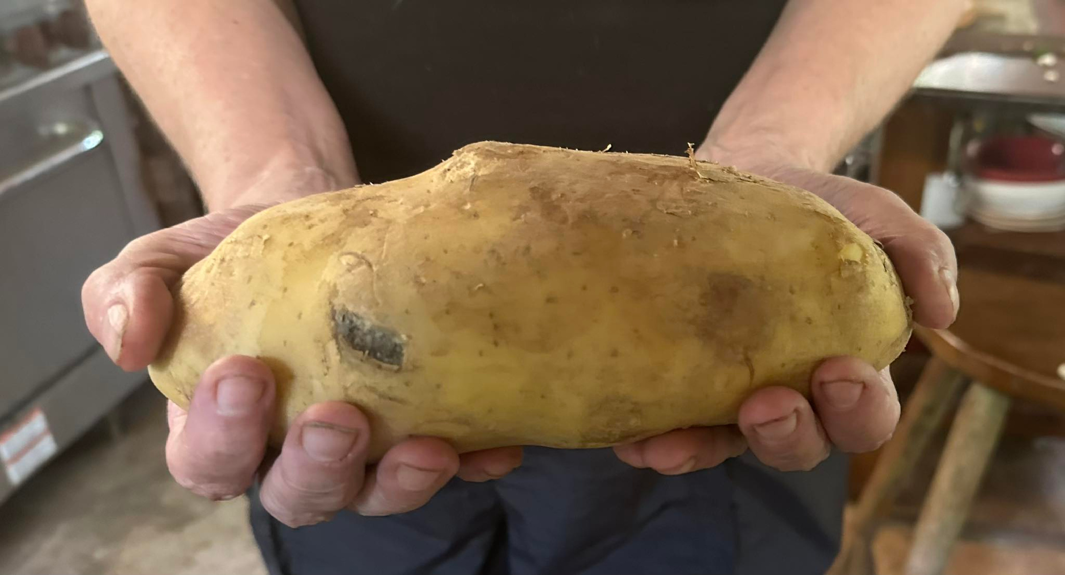 A very large potato