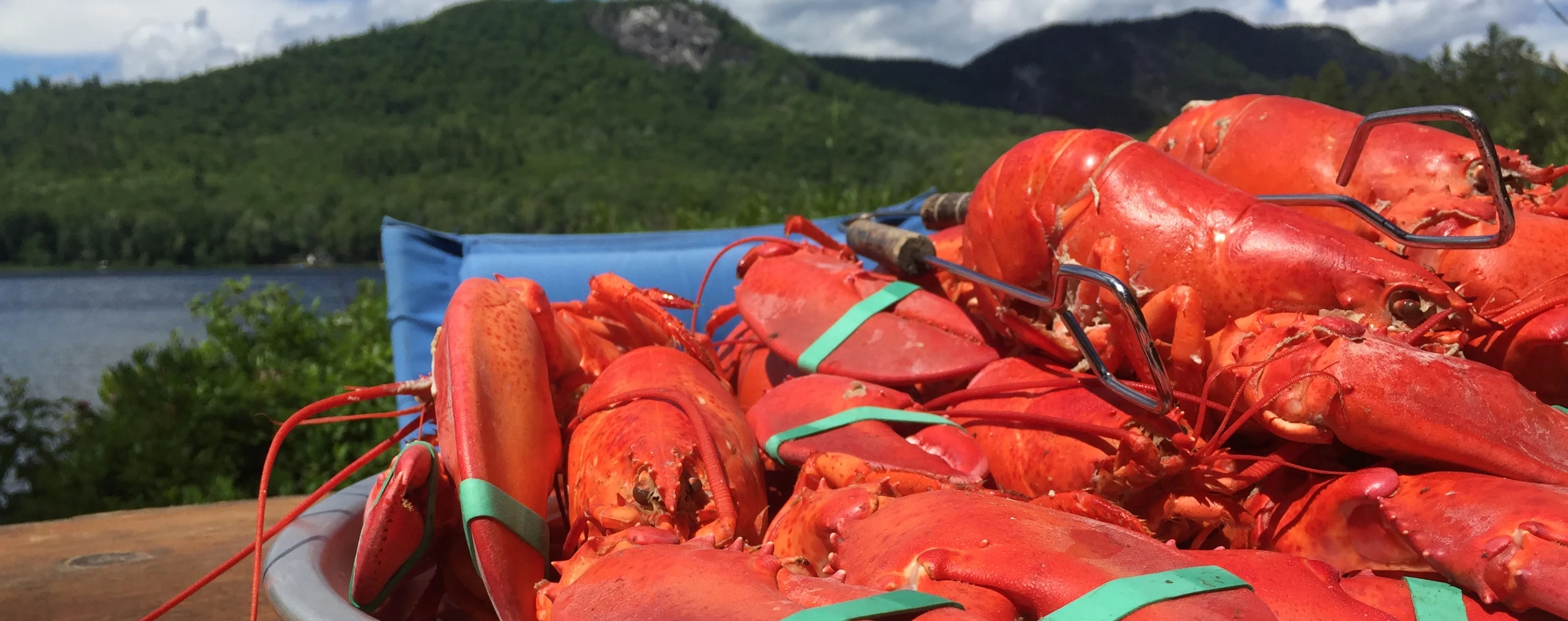 New England Lobster