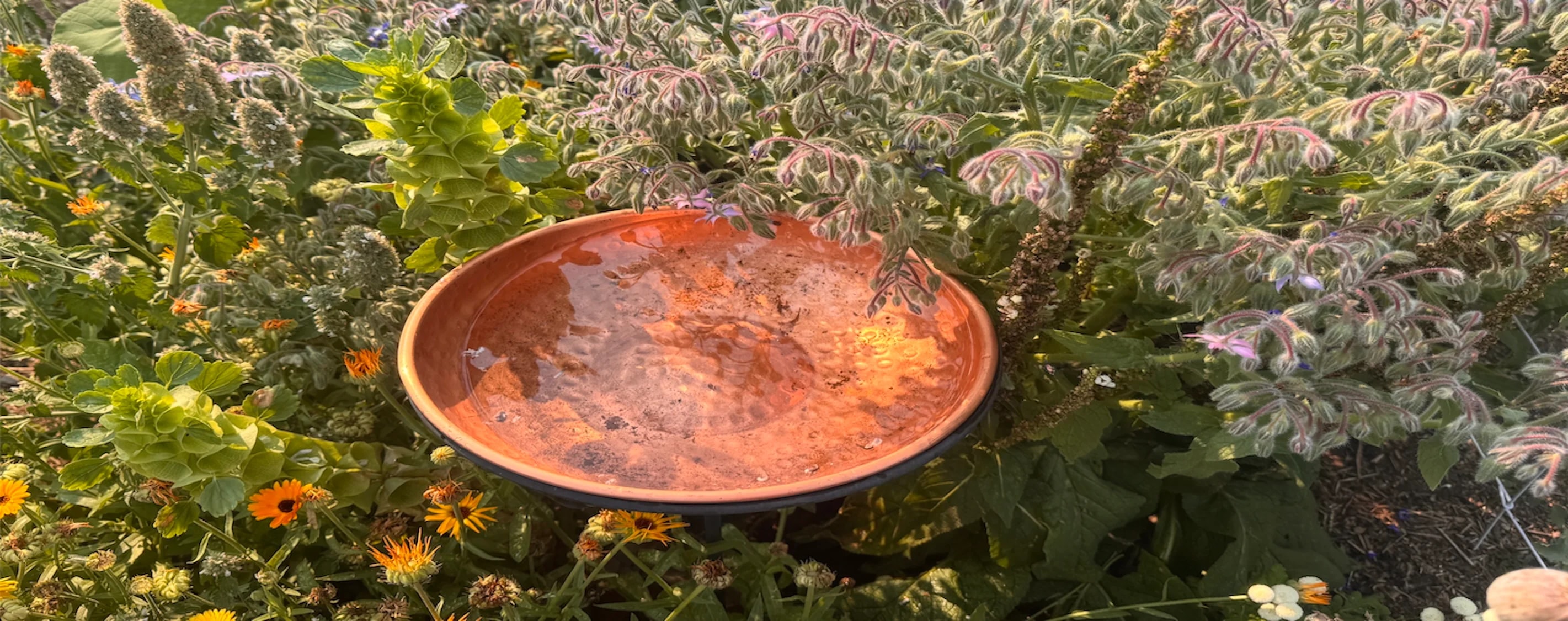 Copper Bird Bath in the Garden