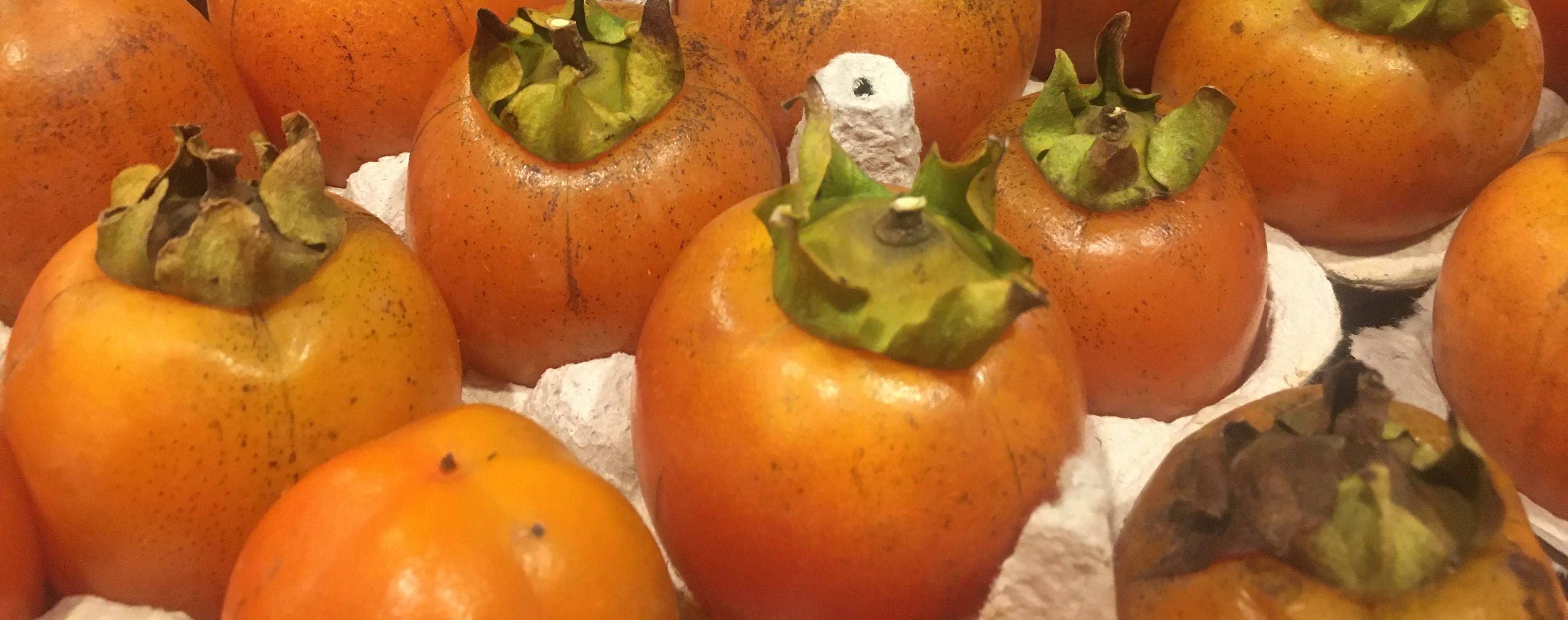 Saijo persimmons