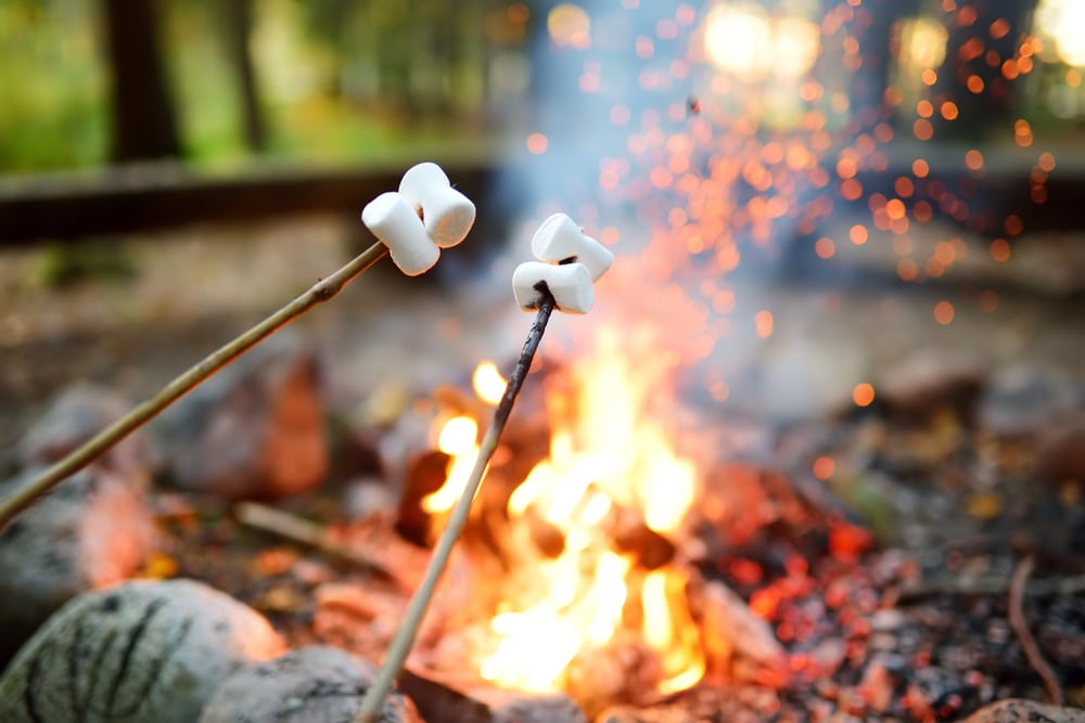 Roasting Marshmallow